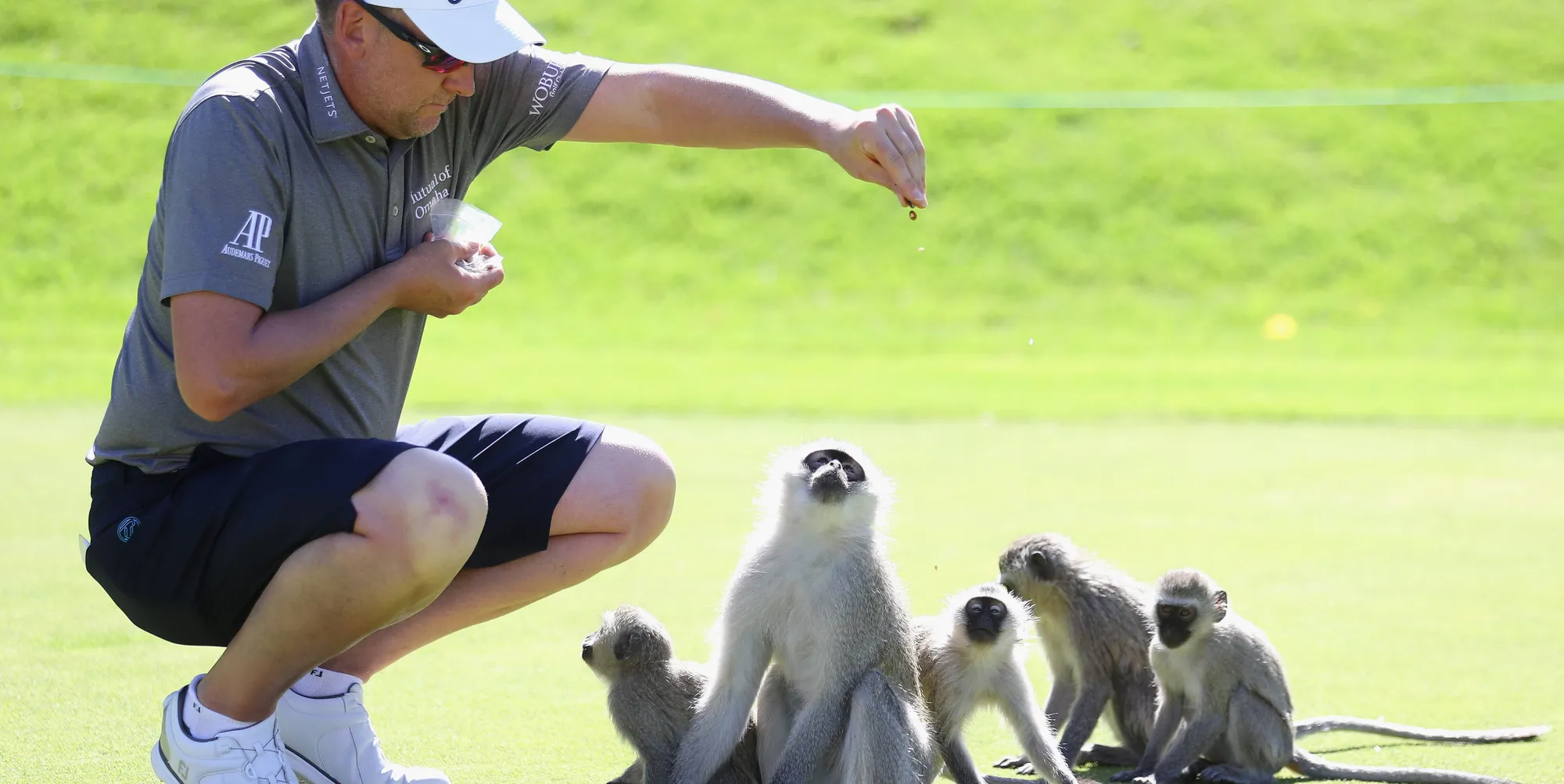 ここは第２の動物園 ゴルフ場で見つけたカワイイ動物たち その Regina レジーナ