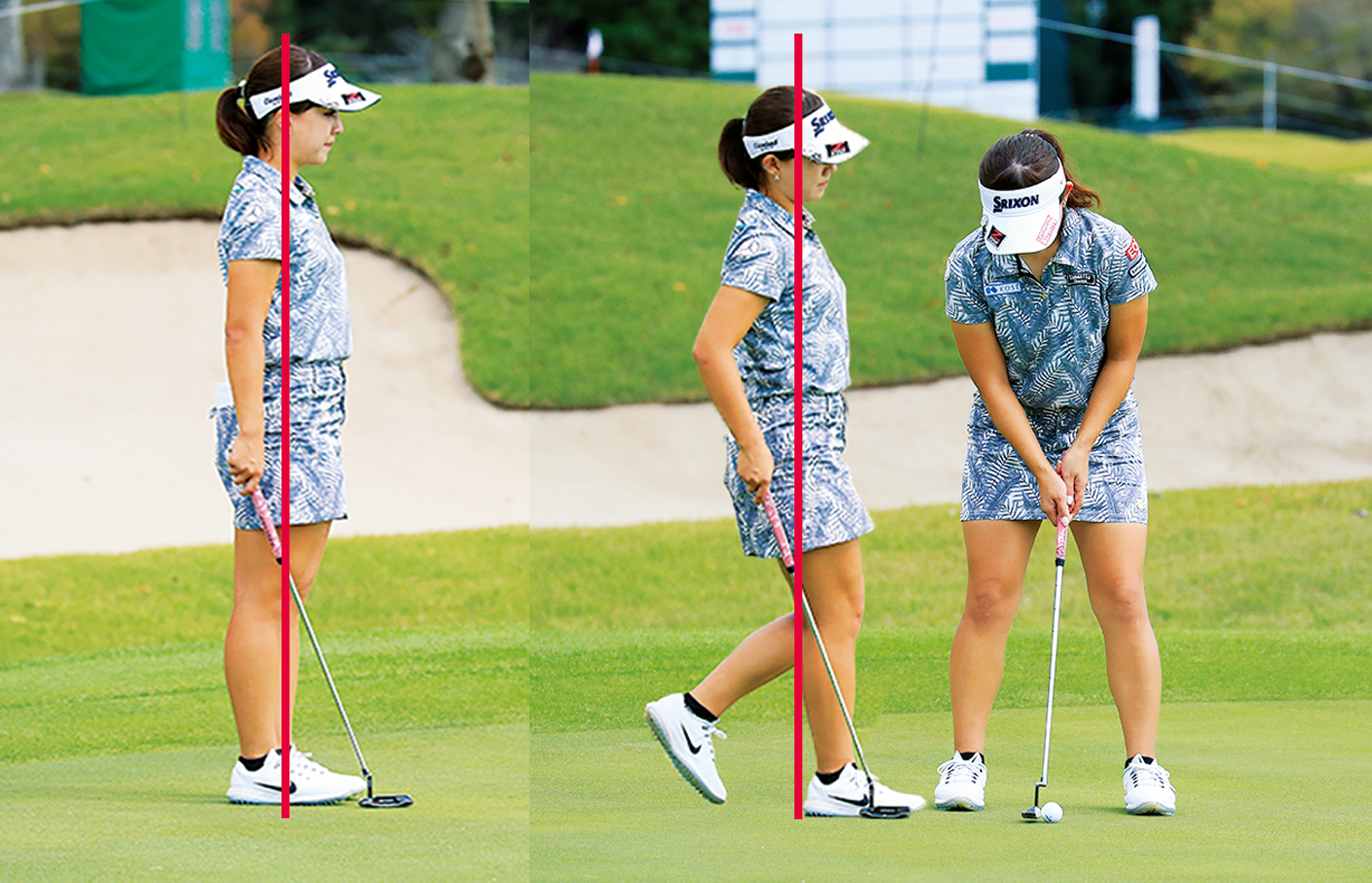 6 Regina（レジーナ）