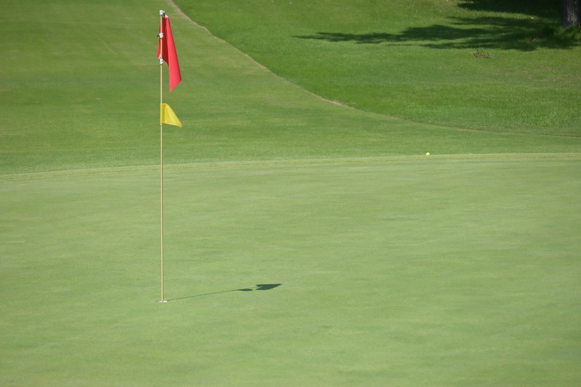 よく聞くピンポジションってなに 知っておくと楽しくなるゴルフ場のルール 初心者ゴルフマニュアル Regina レジーナ