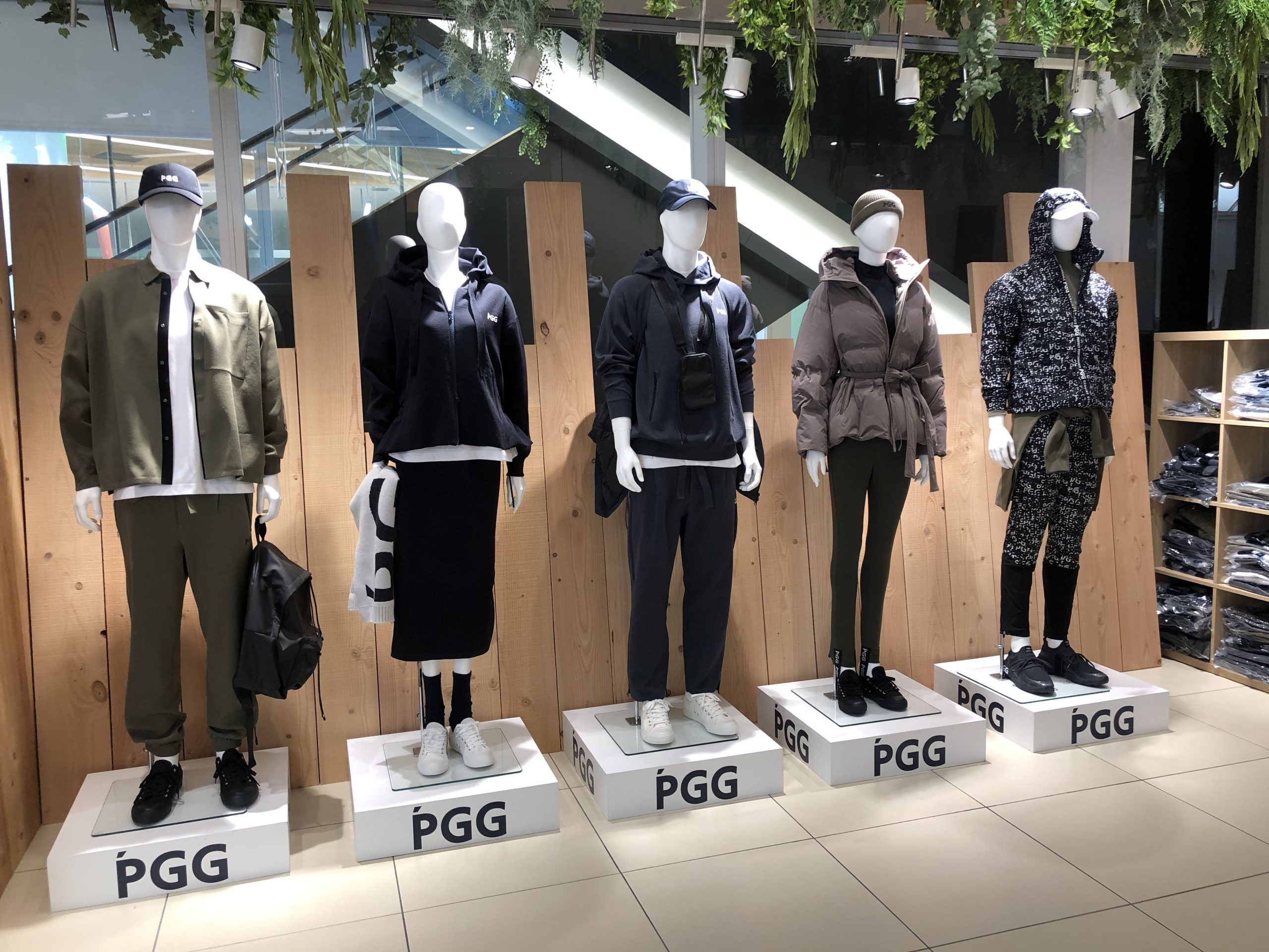 PGGのセットアップ-